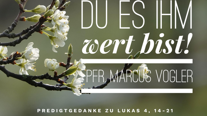 Das Bild zeigt einen Baumzweig mit Blüten und einen deutschen Text über Jesus.