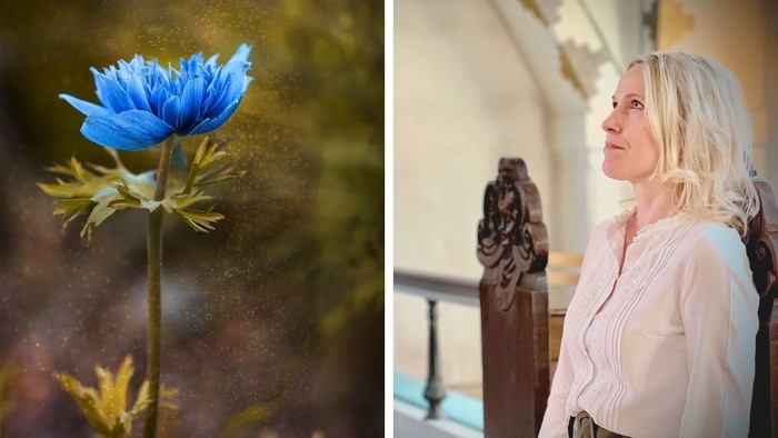 En blå blomst og en kvinde i kirke