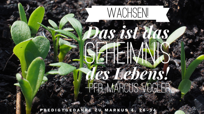 Das Bild zeigt ein Zitat über Wachstum und das Leben, mit kleinen Pflanzen, die aus der Erde sprießen.