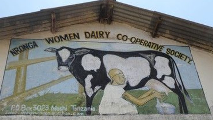 Das Bild zeigt ein Schild der "Neonga Women Dairy Co-operative Society" mit Kuhdarstellung.