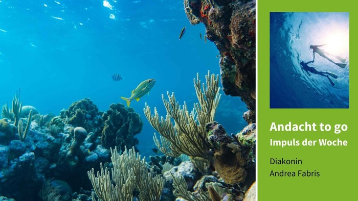 Farbenfrohe Korallenriffe unter Wasser, mit einem Taucher im kleinen Bild rechts