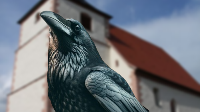 Ein Rabe steht vor einer Kirche mit rotem Dach.