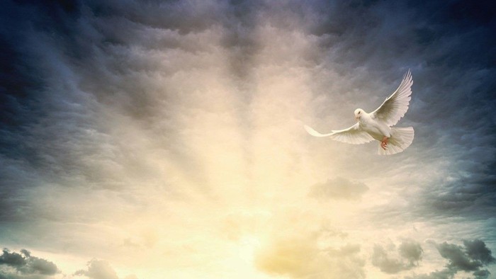 Ökumenisches Abendgebet mit Taizé in Friedevoll, Mittwoch, 28. Mai 2025, 20:00 Uhr, St. Mariä Heimsuchung Neuenrade