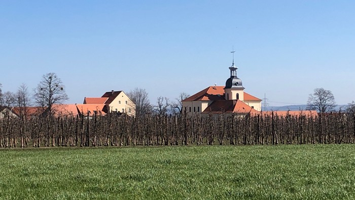 Ein grünes Feld mit Häusern und Kirche im Hintergrund