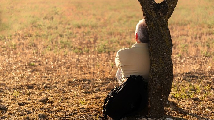 Ein Mann sitzt an einem Baum in einem Feld und hält einen Gegenstand.