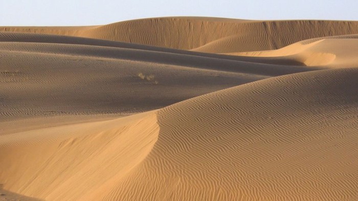 Mächtige Sanddünen erstrecken sich über eine weite Wüstenlandschaft unter klarem Himmel.