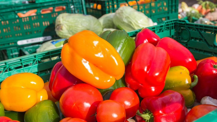 Bunte Paprika und Gemüse in grünen Kisten