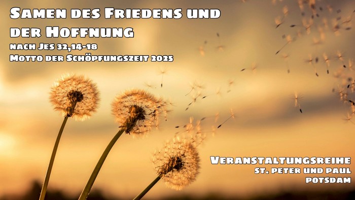 Pusteblumen mit verwehenden Samen
