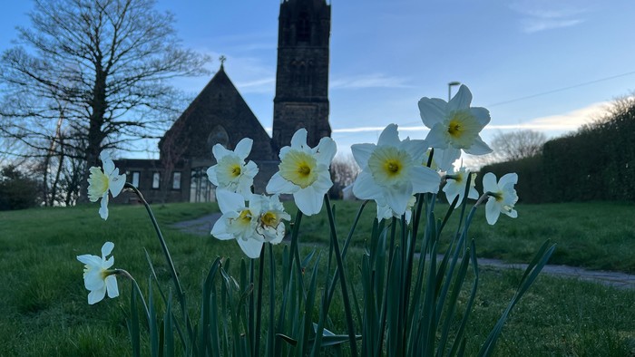 Church with tall steeple and daffodils in foreground