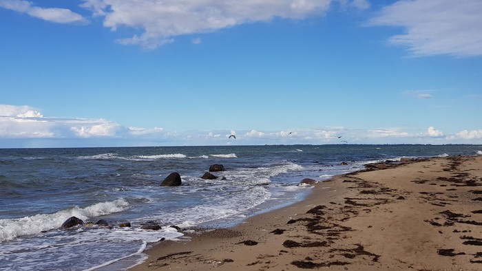 Ein sonniger Strand mit blauem Himmel und flauschigen Wolken, wo sanfte Wellen ans Ufer schlagen