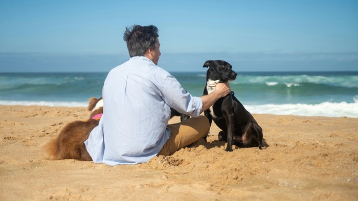 Ein Mann sitzt mit seinen beiden Hunden am Strand und schaut auf das Meer. Der Gottesdienst zum Schöpfungstag nimmt auch die Tiere in den Blick. 