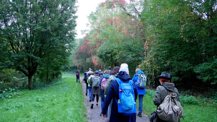 Eine Gruppe von Wanderern geht auf einem Pfad durch einen Wald