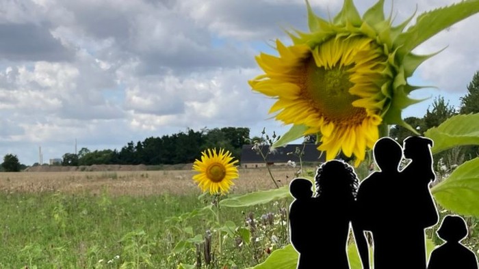 En familiegruppe står i en solrosenmark med store solrosen og en skov i baggrunden