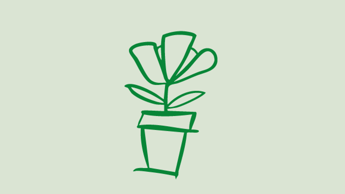 Ein Topf mit einer grünen Pflanze und Blüten