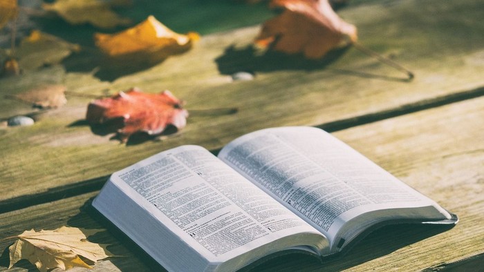 Offenes Buch liegt auf einem Holztisch mit herabgefallenen Blättern