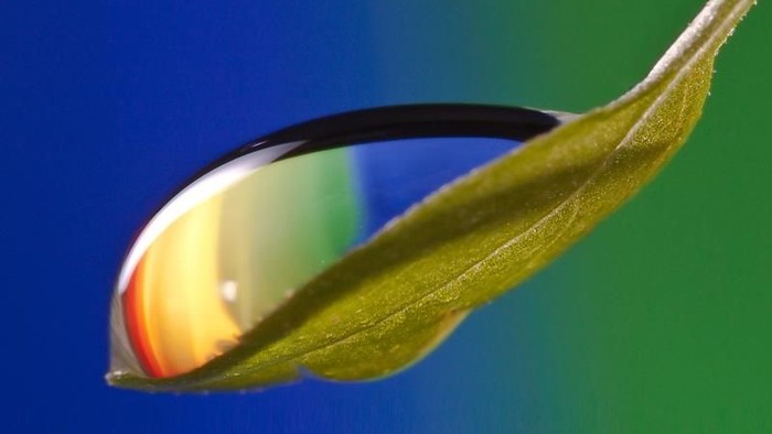 Ein Wasserstropfen auf einem Blatt im Sonnenlicht