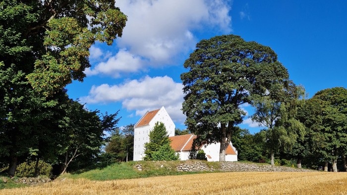 En hvid kirke med røde tag i en åben mark med høje træer og en blå himmel.