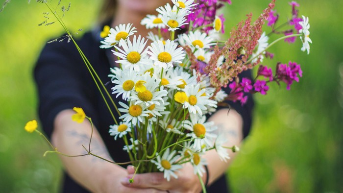 Eine Frau hält einen Strauß bunter Blumen in einem Feld.
