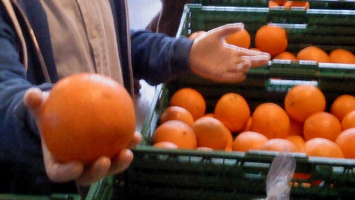 Personen wählen Orangen aus Kisten aus.