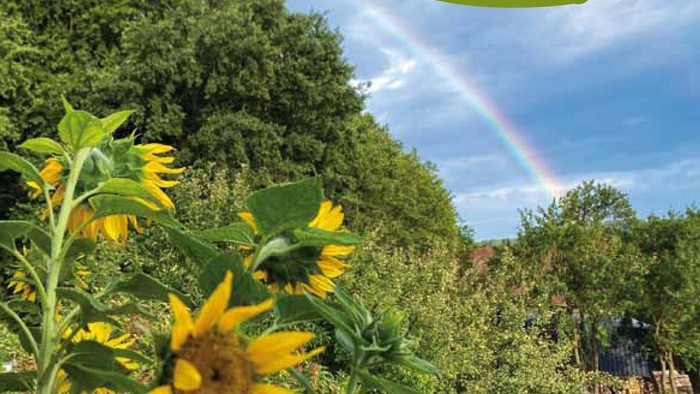 Titelbild Gemeindebrief Kirchenfenster 4/2025