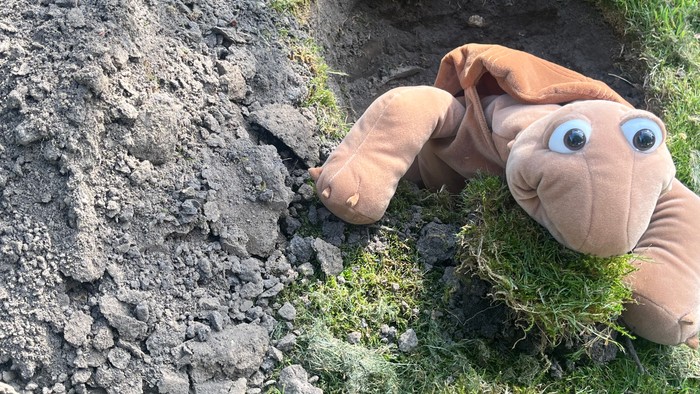 Die Handpuppe Chili mit Moos in der Schnauze hilft beim buddeln um einen Baum zu pflanzen