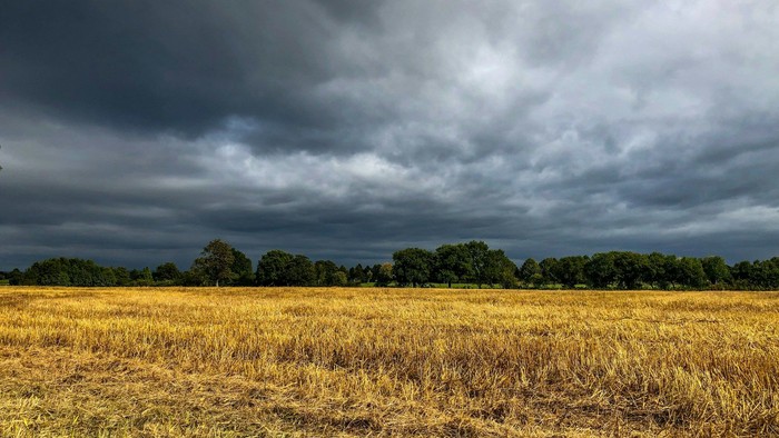 Ein Stoppelfeld unter dunklem Himmel