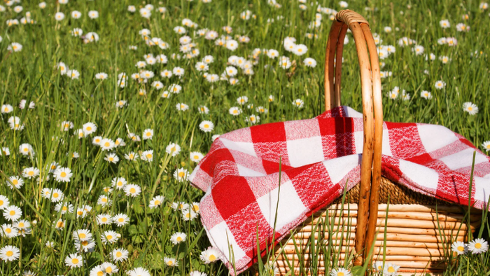 Picknickkorb auf Wiese