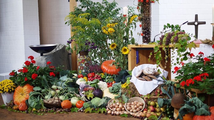 Bunte Herbstdekoration mit Kürbissen, Blumen und Gemüse vor weißer Wand