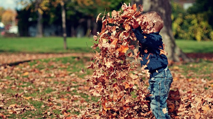 Ein kleines Kind in Jeans und einem dunklen Hemd wirft einen Haufen herabgefallener Herbstblätter in einem Park, mit Bäumen und Gras im Hintergrund.