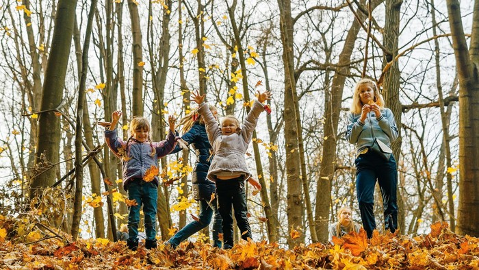 Eine fröhliche Familie springt durch herbstliches Laub in einem bewaldeten Gebiet, umgeben von hohen Bäumen.