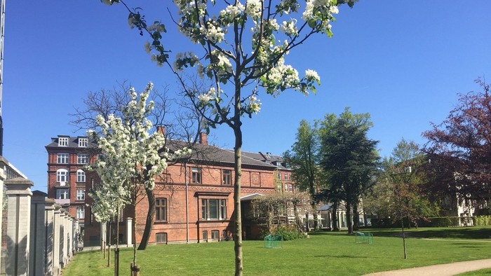 En smuk park med blomstrende træer og et stort rødt hus i baggrunden