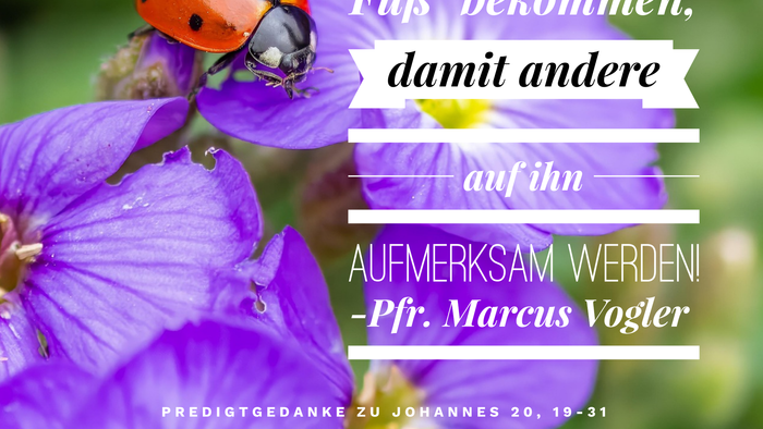 Eine rote Marienkäfer sitzt auf einer lila Blume, mit einem Zitat auf Deutsch darüber.