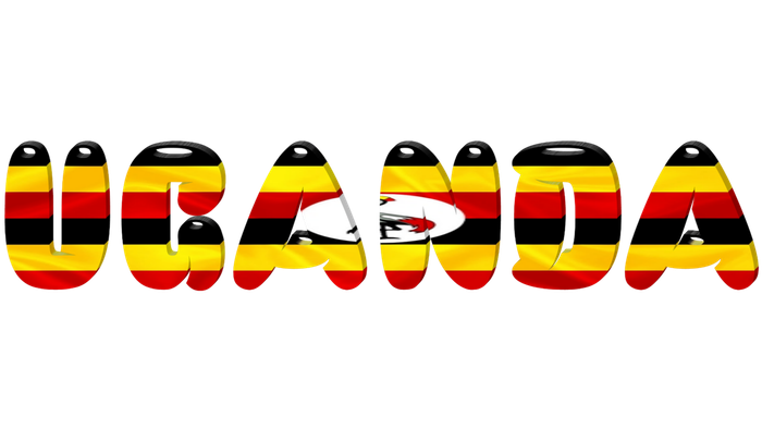 Das Bild zeigt den Schriftzug 