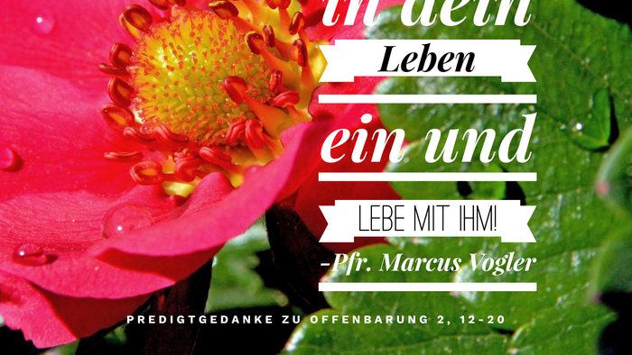 Eine leuchtend rote Blume mit Tautropfen, verziert mit einem religiösen Zitat auf Deutsch.