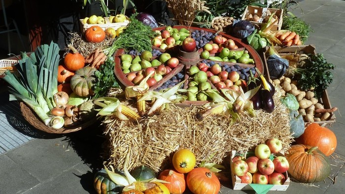 Ein großer Obst- und Gemüseberg mit Äpfeln, Kürbissen, Karotten und anderem Gemüse