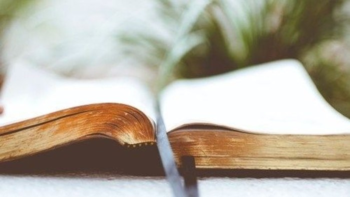 Offenes Buch auf Holzoberfläche mit unscharfem Hintergrund