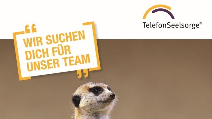 Werbung der Telefonseelsorge. Abgebildet ist neben dem Logo der Telefonseelsorge eine Gruppe von Erdmännchen.