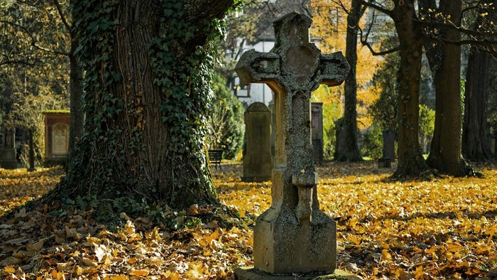 Grabstein vor einem Baum auf einem Friedhof