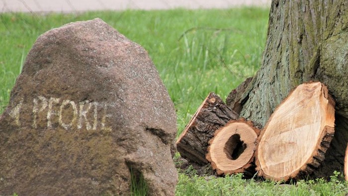 Wegweiser auf Steinen mit dem Hinweis
