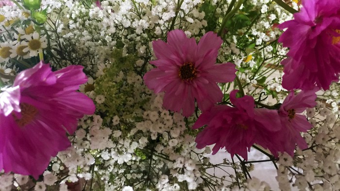 Ein Blumenstrauß mit rosa und weißen Blumen.