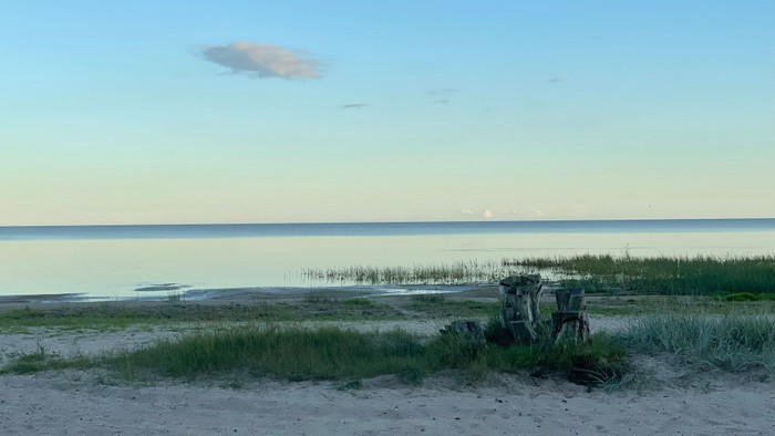 Ein Fahrrad liegt auf einem sandigen Strand neben hohem Gras, mit Blick auf den Ozean unter einem klaren Himmel.