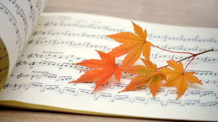 Herbstblätter liegen auf Notenblatt
