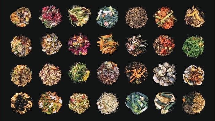 Ausstellung Gemüse-Kosmos Bernard Langerock