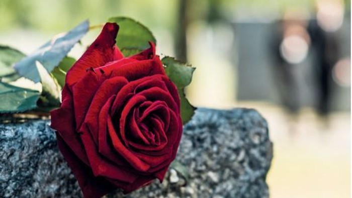 Rose auf Stein liegend