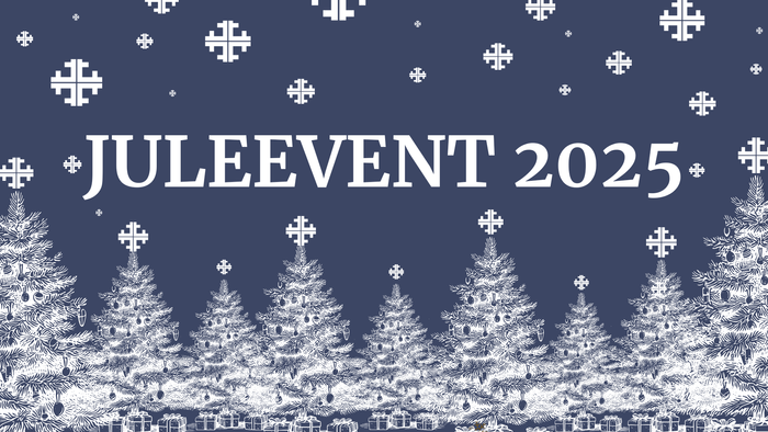 Julestemning 2025 med snefloker og træer