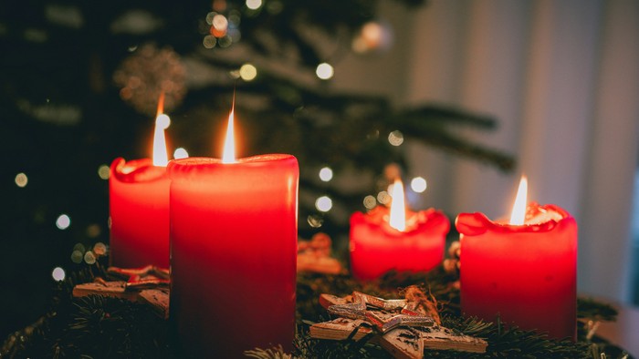 Vier brennende rote Kerzen auf Grünpflanzen mit einem Weihnachtsbaum im Hintergrund