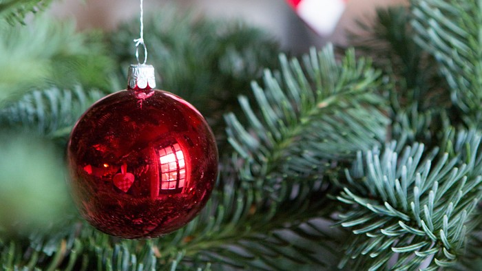 En rød glaskugle hænger på en julgran.
