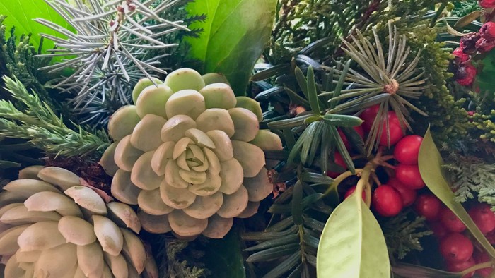 En blanding af grønne og røde planter og bær.