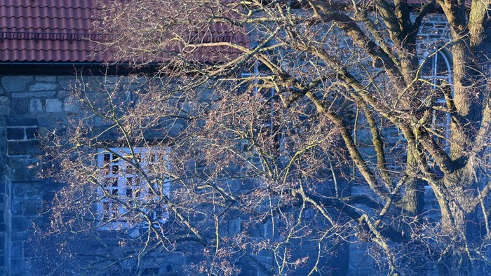 Ein herbstlicher Blick aus dem Gemeindehaus auf die Kirche St. Lucas in Pattensen