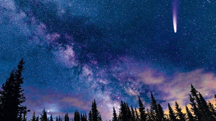 Nachtimmel mit Sternen, Milchstraße und einer Sternschnuppe, die darüberzieht, mit Bäumen, die sich unten als Silhouetten abheben.